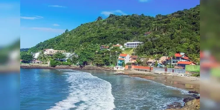 Lei pioneira de cidade mais rica de SC vira assunto na COP30