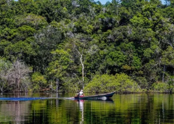 Brasileiros temem que outros países tentem “roubar” a Amazônia
