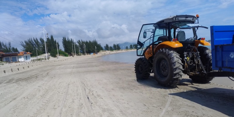 Ações de limpeza de orla são realizadas nas praias de Palhoça
