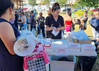 Procura recorde marca primeiro mutirão de castração de 2026 em São José