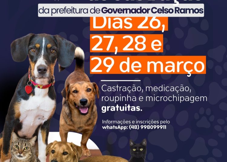 Programa de castração gratuita Pet Levado a Sério chega a Governador Celso Ramos; inscrições estão abertas