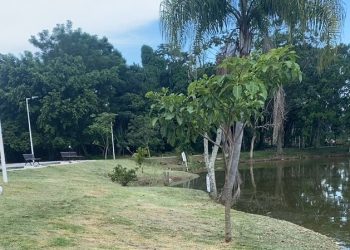 Parque do Aririú recebe ação de limpeza e manutenção