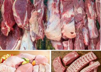 Única cidade de SC produz carne suficiente para alimentar o Brasil 14 vezes