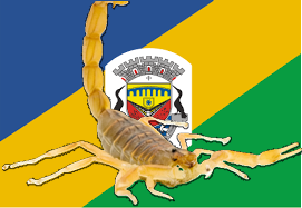 Mais de 250 escorpiões são capturados em condomínio de Biguaçu