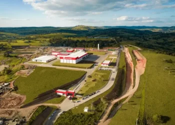 Nasce uma nova JBS? O plano de um frigorífico para abater mil bois por dia e gerar mil empregos