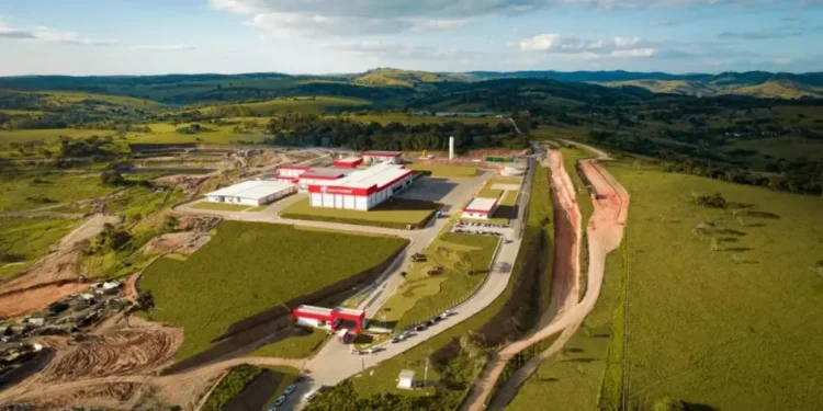 Nasce uma nova JBS? O plano de um frigorífico para abater mil bois por dia e gerar mil empregos